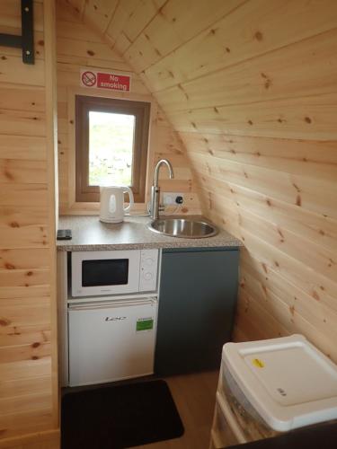 uma cozinha numa pequena casa com um lavatório em Earls View Pod em Carna