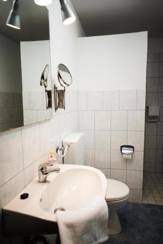 a bathroom with a sink and a toilet at Lindenhof Habernis in Steinberg