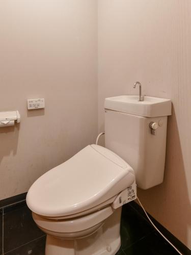 a bathroom with a white toilet in a room at Awara Onsen Minoya Taiheikaku in Awara