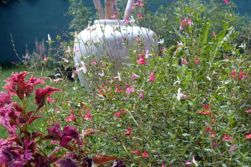 a white vase in the middle of some flowers at L'Orée du Maïdo in Le Guillaume