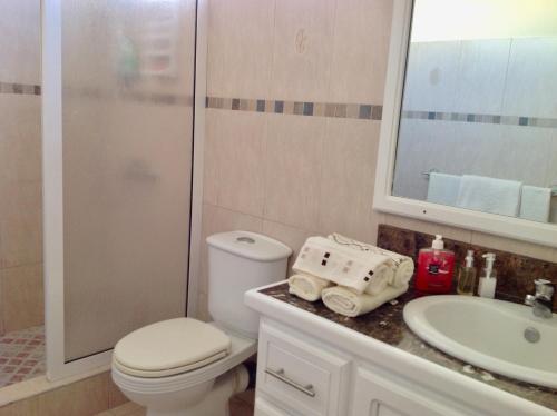 a bathroom with a toilet and a sink and a shower at Fayruz Villa is a 3 bedroom, 3 bathroom detached house with AC and swimming pool 5 minutes walk from Flic en Flac public beach in Flic-en-Flac