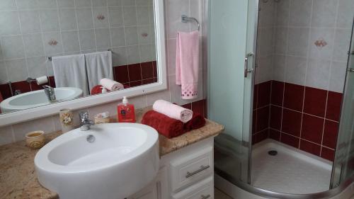 a bathroom with a sink and a shower at Fayruz Villa is a 3 bedroom, 3 bathroom detached house with AC and swimming pool 5 minutes walk from Flic en Flac public beach in Flic-en-Flac