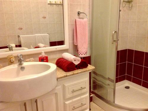 a bathroom with a sink and a shower and a mirror at Fayruz Villa is a 3 bedroom, 3 bathroom detached house with AC and swimming pool 5 minutes walk from Flic en Flac public beach in Flic-en-Flac