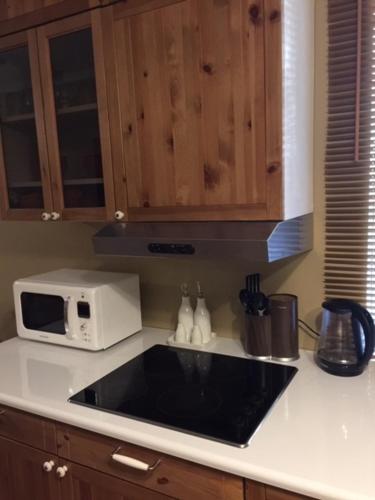 a kitchen counter with a microwave and a sink at 9 Mežmalas iela in Jūrmala