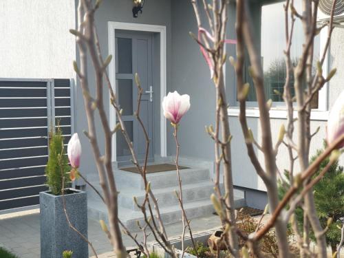 a bunch of pink flowers in front of a house at VillaGrey Tunari in Tunari