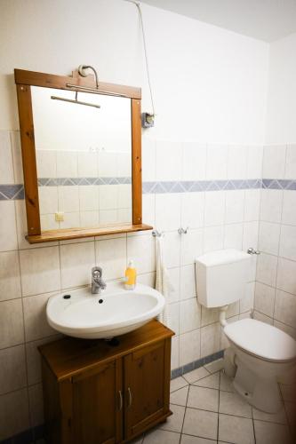 a bathroom with a sink and a toilet and a mirror at Lindenhof Habernis in Steinberg