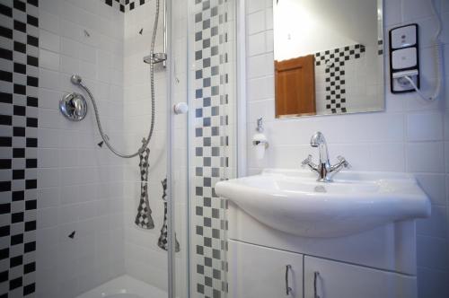 a bathroom with a sink and a shower at Pension Konopiste in Benešov