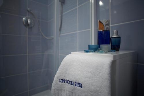 a bathroom with a shower with a towel on a counter at Pension Konopiste in Benešov