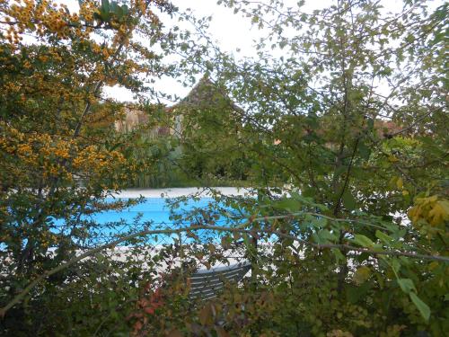 Blick auf den Pool durch die Bäume in der Unterkunft CHAMBRES d'HOTES LE ROUSSEL in Le Buisson de Cadouin