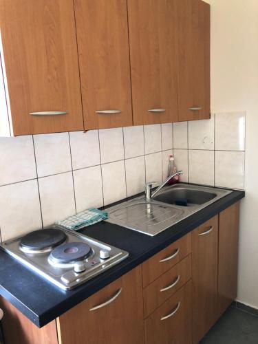 a kitchen counter with a sink and a stove at Zrcadlová Koza in Turnov
