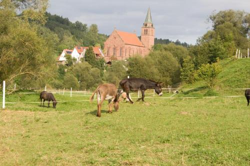 Photo de la galerie de l'établissement Ferienwohnung Spreter, à Zimmern ob Rottweil