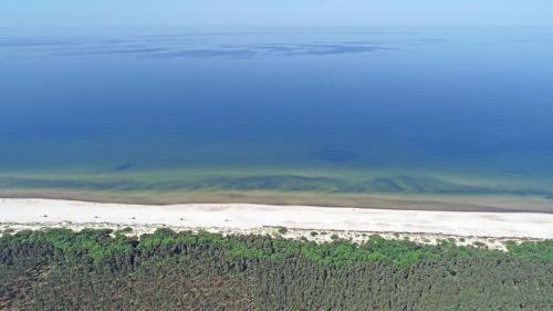 an aerial view of a beach and the ocean at Amber - Luxury Two Bedroom Apartment in Palanga