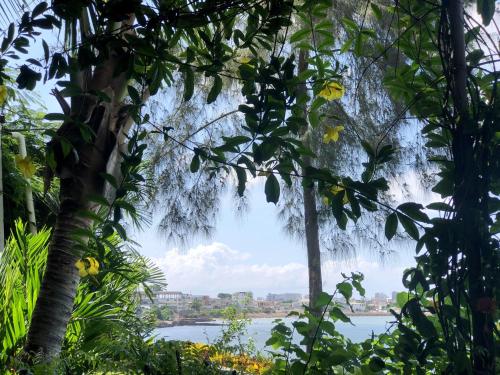 a view of a body of water through trees at Hostería Ecológica El Faro in Salinas