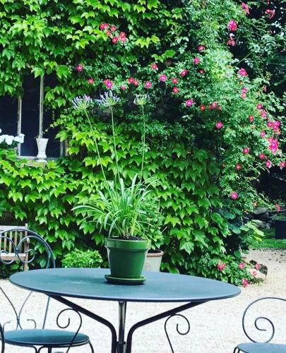 a table with a potted plant on top of it at Les Chambres d'Hôtes du Bois Joli in Semur-en-Auxois