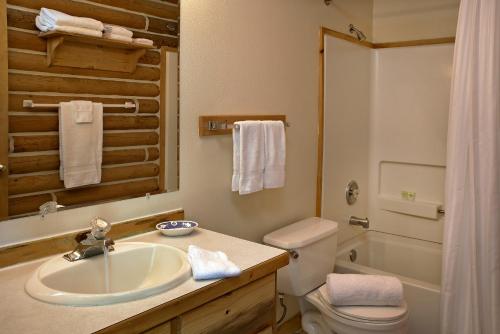 ein Bad mit einem Waschbecken, einem WC und einer Dusche in der Unterkunft Redfish Riverside Inn in Stanley