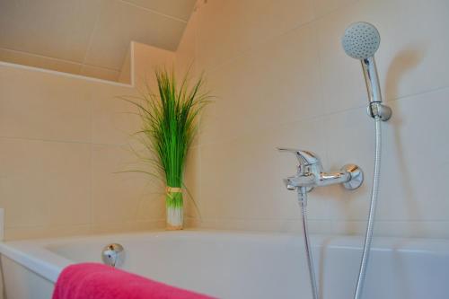 a bathroom with a bath tub with a plant at Ferienhaus-Bodden in Saal