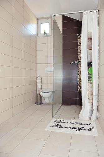a bathroom with a shower and a toilet at Tri sriće in Senj