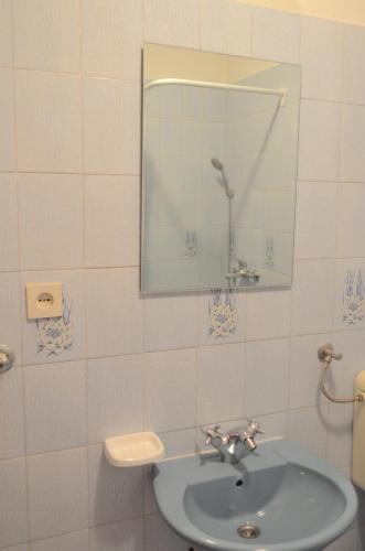 Ένα μπάνιο στο Apartman Roguljić