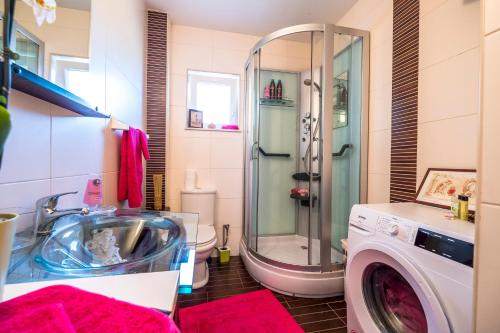 a bathroom with a shower and a washing machine at Maja Apartment Cavtat II in Cavtat