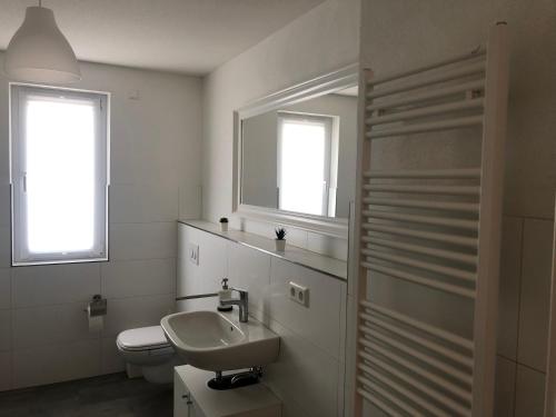 een badkamer met een wastafel, een toilet en een spiegel bij Fewo Dani in Rheinhausen