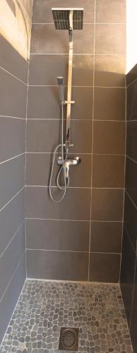 a shower with a shower head in a bathroom at La Grange du Bois des Arrendies in La Salvetat-Belmontet