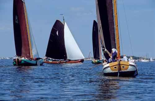 a group of sailboats in a body of water at Fletcher Hotel Restaurant Heidehof in Heerenveen
