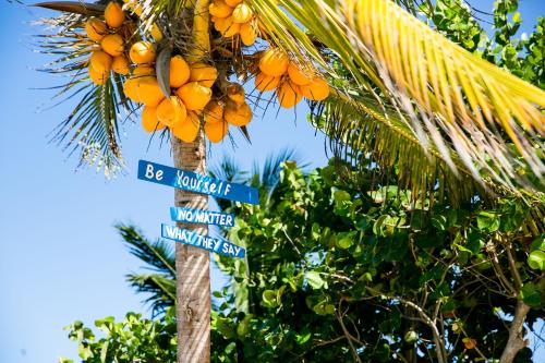 a street sign in front of a palm tree at Hotel La Casa Cielo solo adultos in El Cuyo