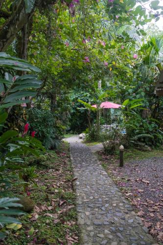 Un jardín fuera de Cabinas Iguana Cahuita
