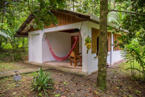 a house with a hammock in the woods at Cabinas Iguana Cahuita in Cahuita