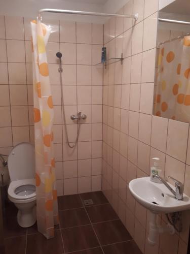 a bathroom with a toilet and a sink and a shower at Ubytovanie - súkromie v meste (2) in Bratislava