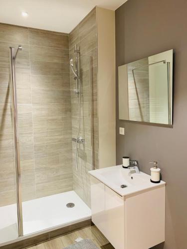 La salle de bains est pourvue d'une douche et d'un lavabo blanc. dans l'établissement Esprit Cosy sur plateau central, à Clermont-Ferrand