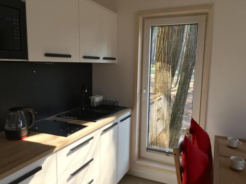 a kitchen with a counter and a window at 3pokoje - Domek lub Pokój pod lasem na odludziu, jacuzzi, sauna, kominek, Roztocze in Susiec