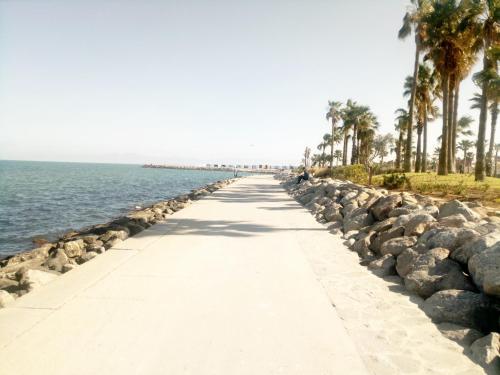 ナドールにあるMustapha 3のヤシの木と海が茂る海沿いの散歩道