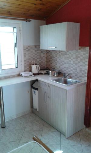 A kitchen or kitchenette at Apartments Elena