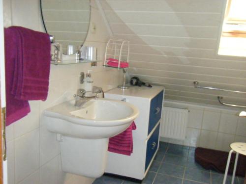 y baño con lavabo y espejo. en Ferienwohnung M. Lemmermeyer, en Neumagen-Dhron