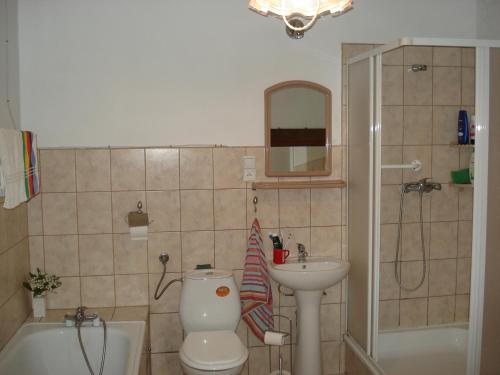 a bathroom with a toilet and a sink and a shower at Apartament u Barbary in Wisełka