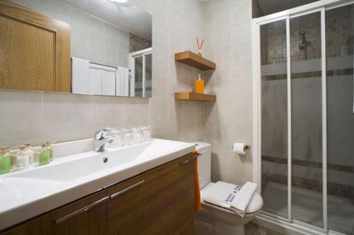 a bathroom with a sink and a shower and a toilet at Aitonarena Ochagavia in Ochagavía