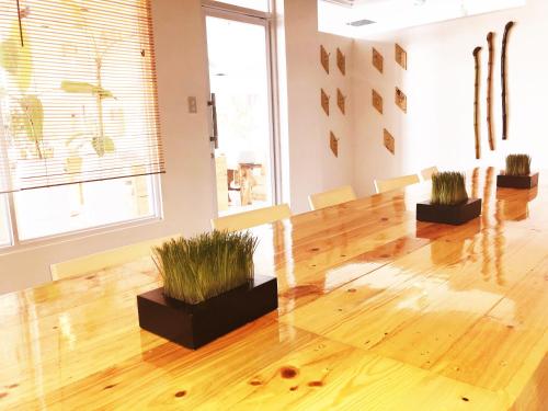 a room with two potted plants and a wooden floor at ROCCA Del GARDA Residences in Binangonan