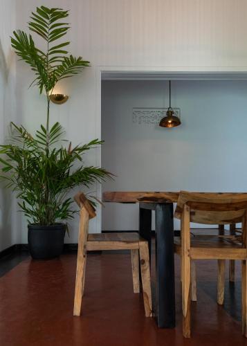 a dining room with a table and a potted plant at Abode Ahangama in Ahangama