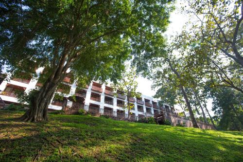 a tree in a field in front of a building at The Imperial Mae Hong Son Resort in Mae Hong Son