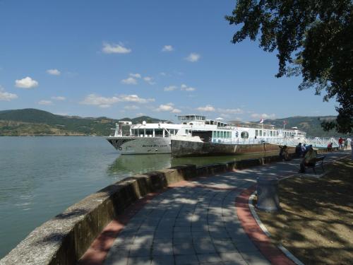 a large boat is docked at a dock on a lake at Nena & Rale Rooms in Donji Milanovac