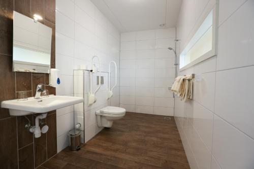 a bathroom with a toilet and a sink at Mössems in Denekamp