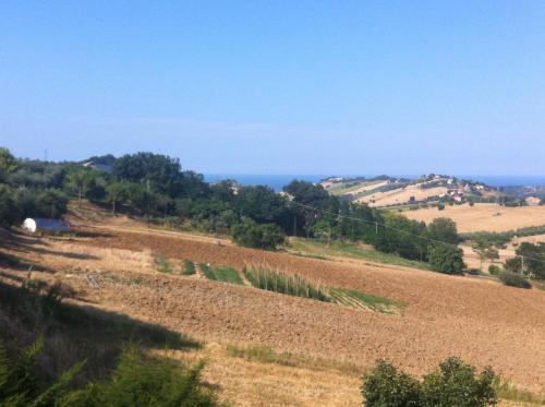 a view of a field with the ocean in the background at Il Frantoio in Lapedona