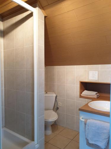 a bathroom with a toilet and a sink at Hostellerie Daiseldaele in Dadizele