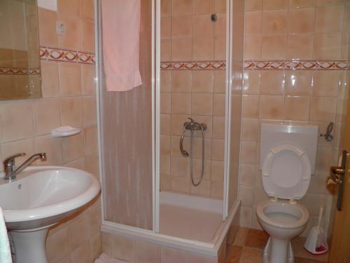 a bathroom with a shower and a toilet and a sink at Apartmani Prova 4 in Tisno