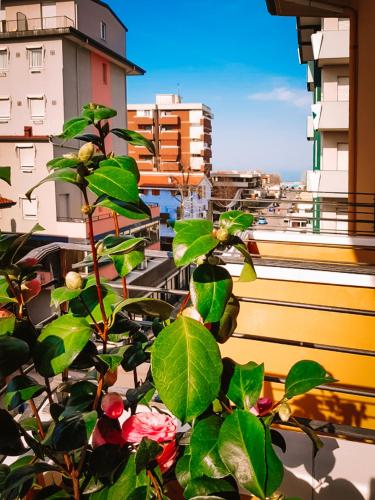 Balcone o terrazza di HOTEL ROMANTICA