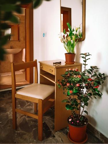 Foto dalla galleria di HOTEL ROMANTICA a Rimini