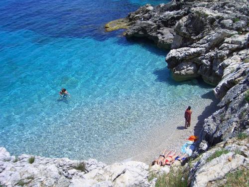 Φυσικό τοπίο κοντά σε αυτό το διαμέρισμα
