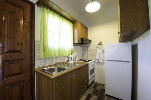 una cucina con lavandino e frigorifero bianco di Miltiadis Apartments Spiti Miltiadis ad Agios Georgios Pagon