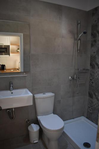 een badkamer met een toilet, een wastafel en een douche bij Patras Studio in Agios Georgios Pagon